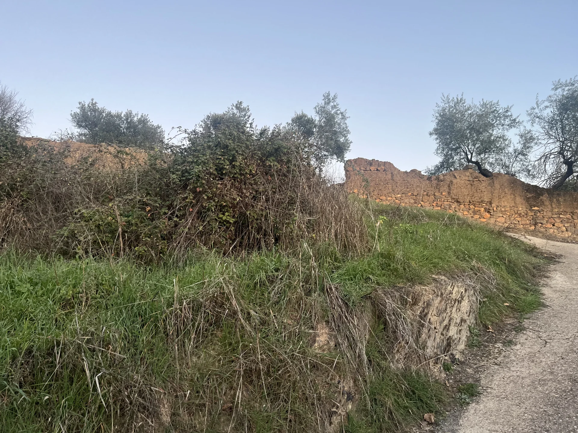 Muro tradicional de piedra y tierra junto a un camino