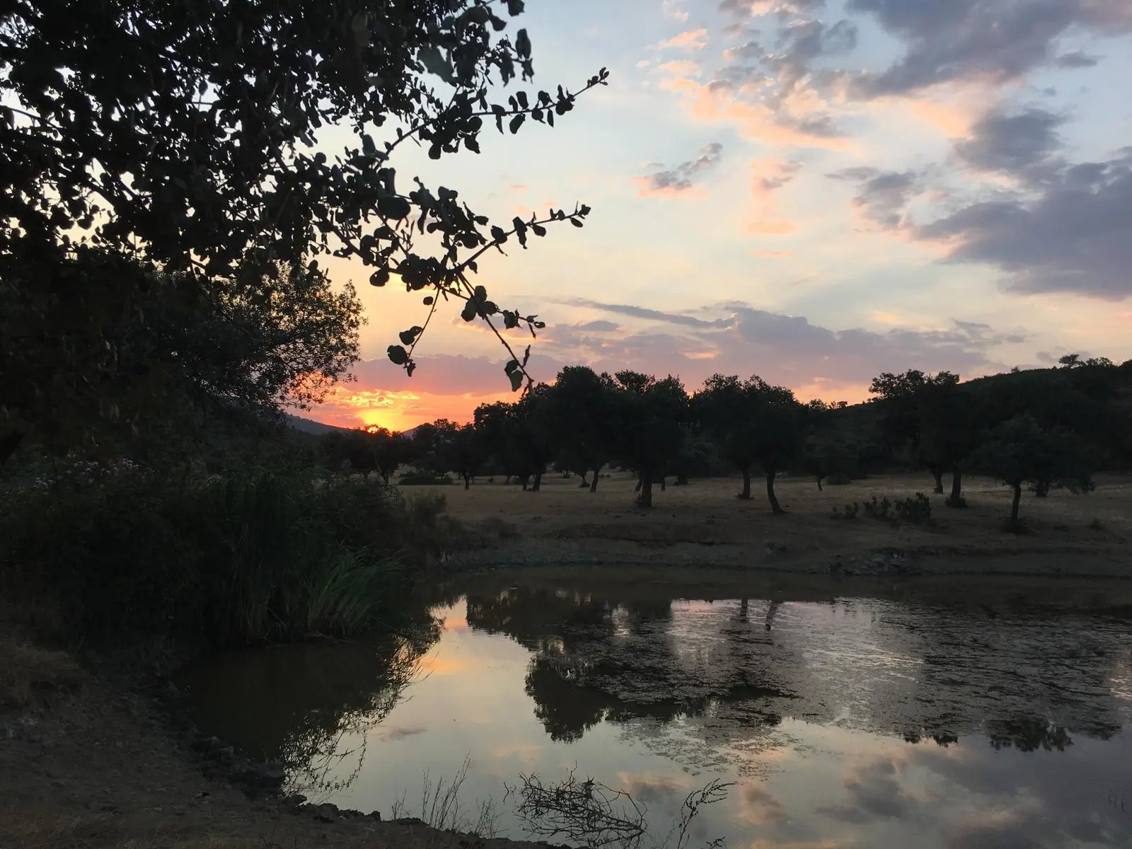 Lagunillas con agua acumulada en el paisaje