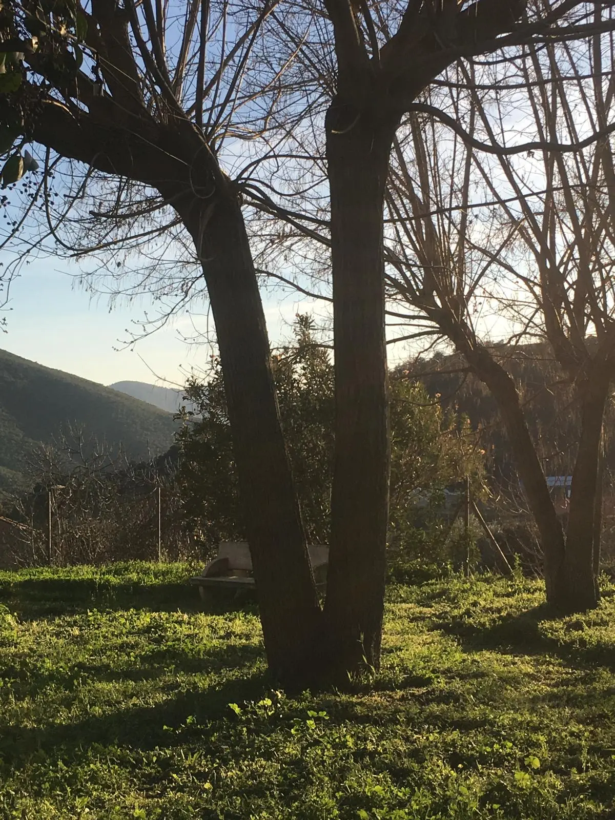 Parque de El Hoyo con arbolado y zonas de estancia
