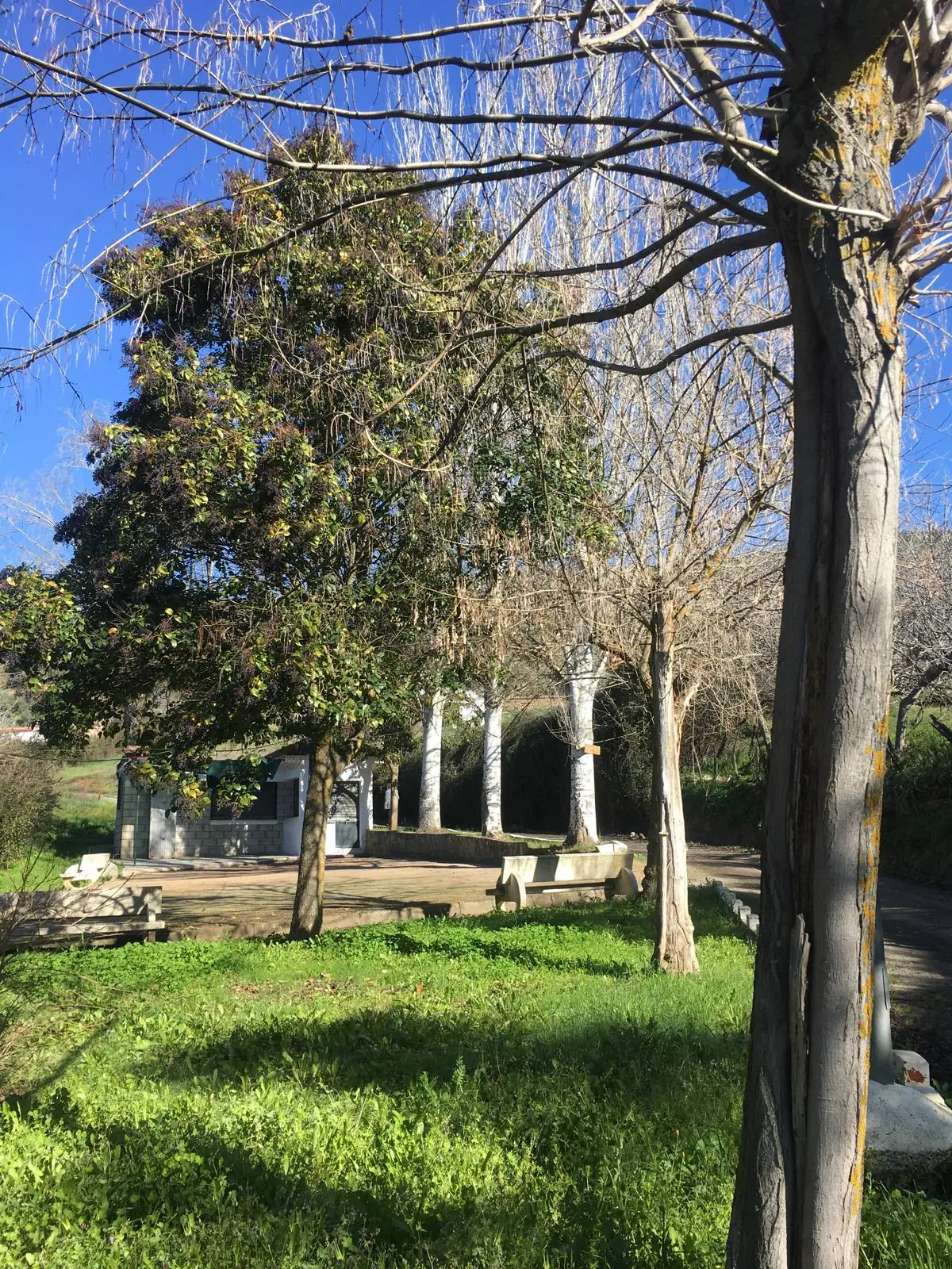 Parque y chiringuito de El Hoyo