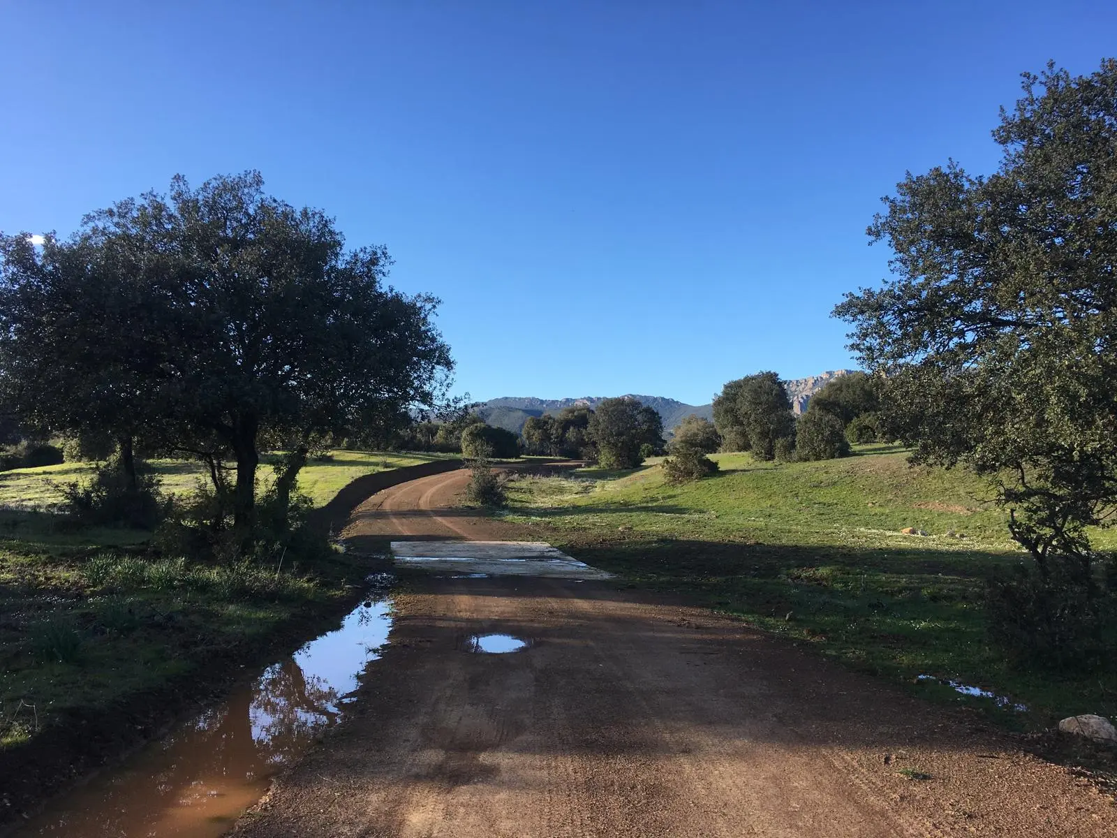Camino rural próximo a El Hoyo