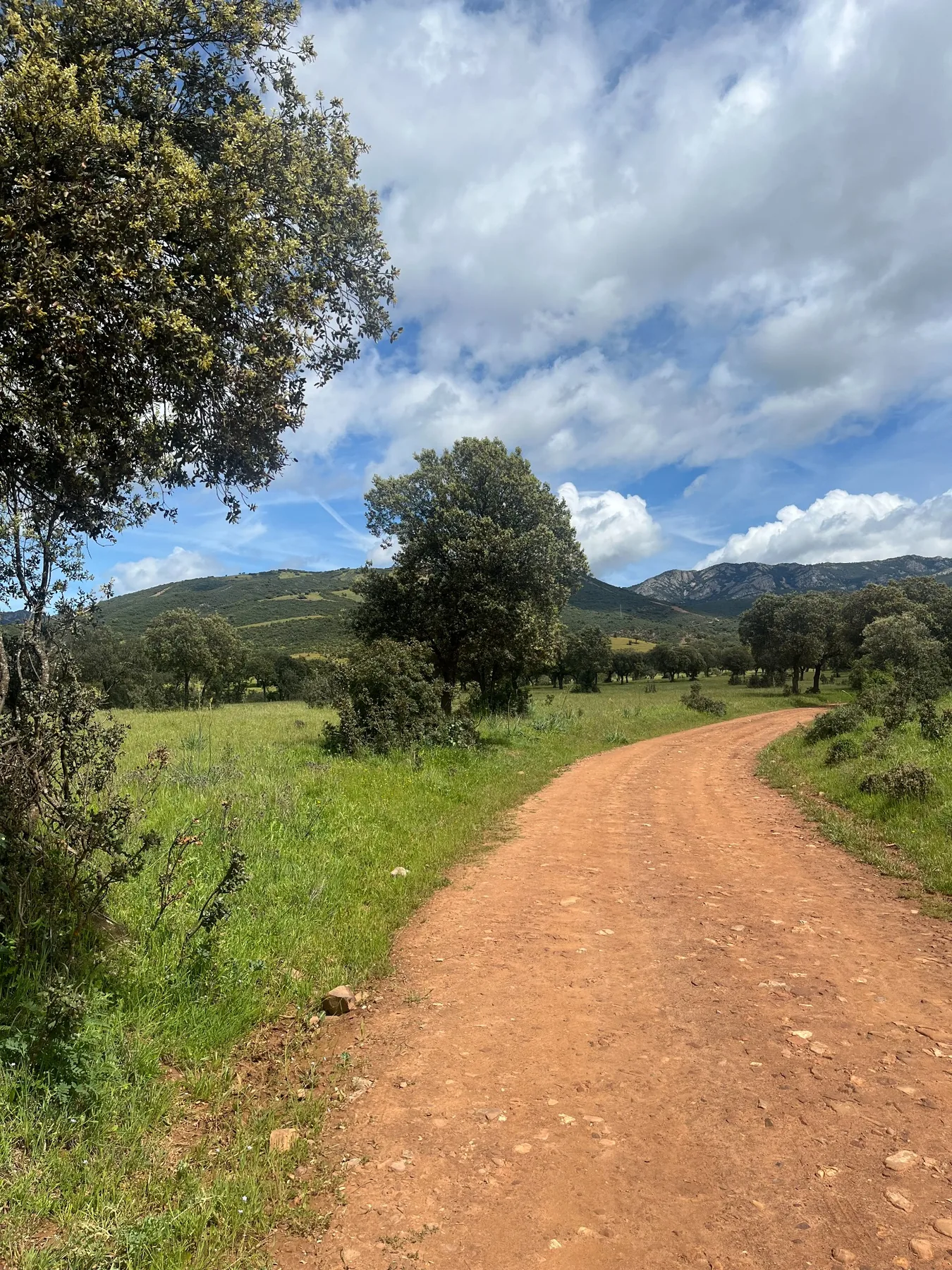 Camino entre monte y sierra en el entorno de El Hoyo