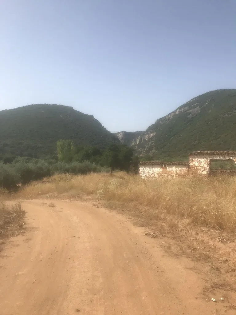 Camino rural en el entorno de El Hoyo
