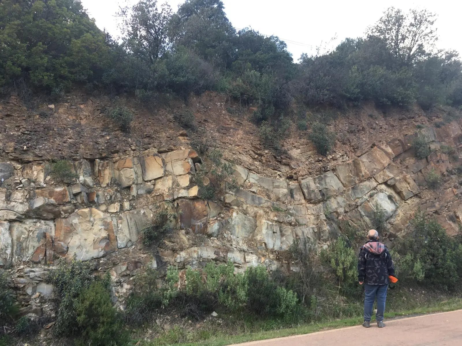 Capas de roca curvadas en un desmonte de carretera próximo a El Hoyo