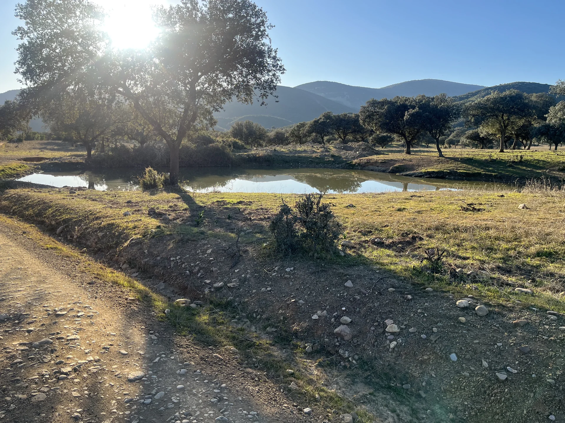Pantanillos y dehesa en las proximidades de El Hoyo