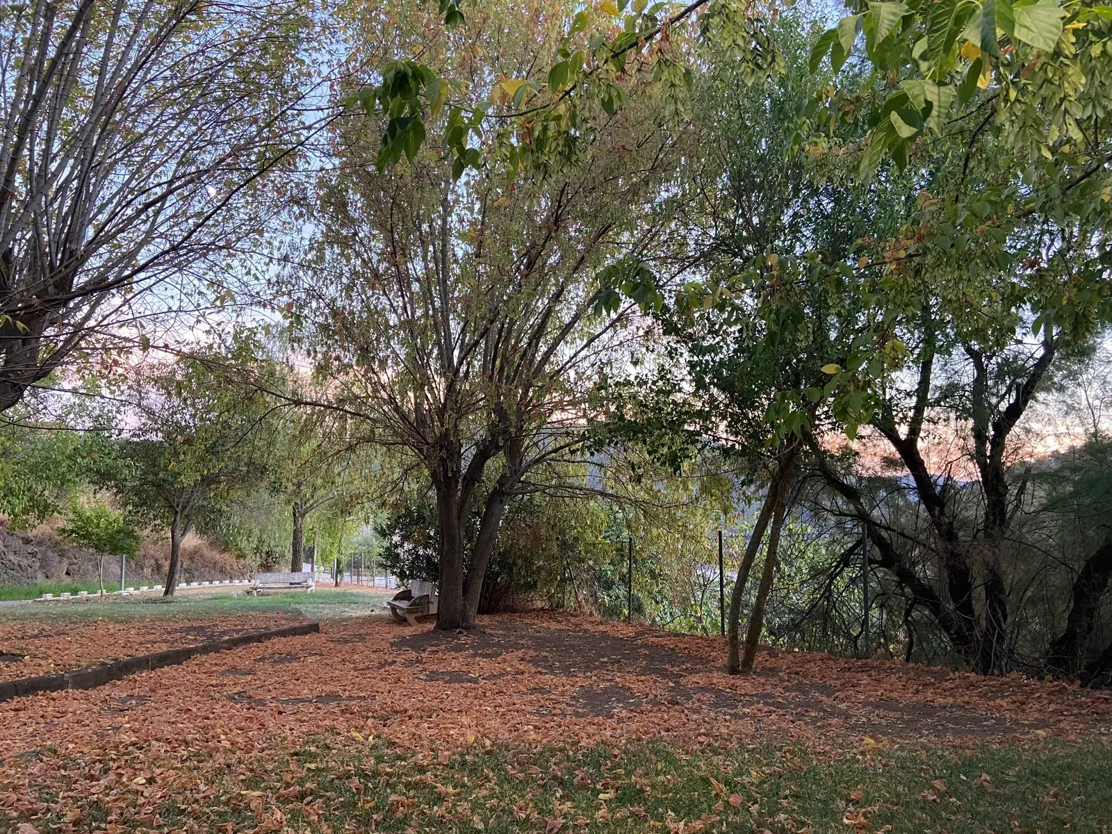 Parque de El Hoyo cubierto de hojas en otoño