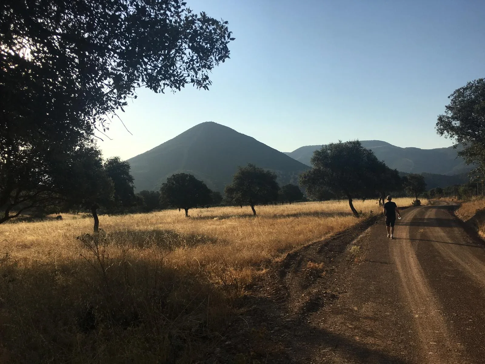 Camino de la Herradura con el cerro Montón de Trigo al fondo