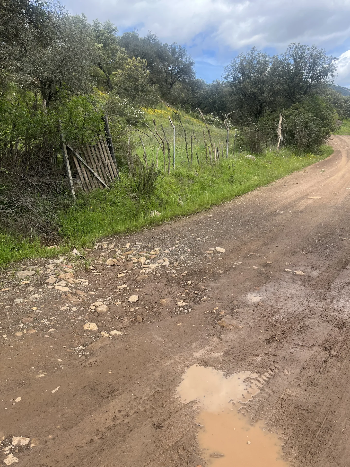 Camino rural entre el monte y la sierra cerca de El Hoyo