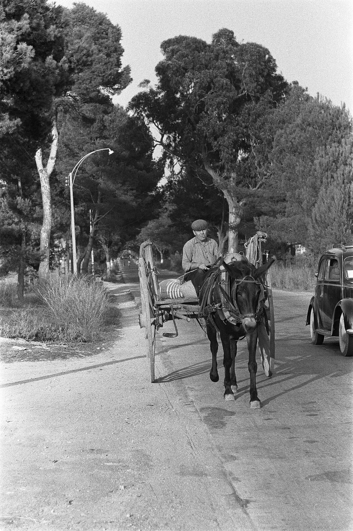 Escena rural española de 1960 con vecinos y caballerías