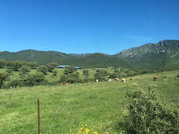 Dibujo de objetivos del Parque Natural de Valle de Alcudia y Sierra Madrona